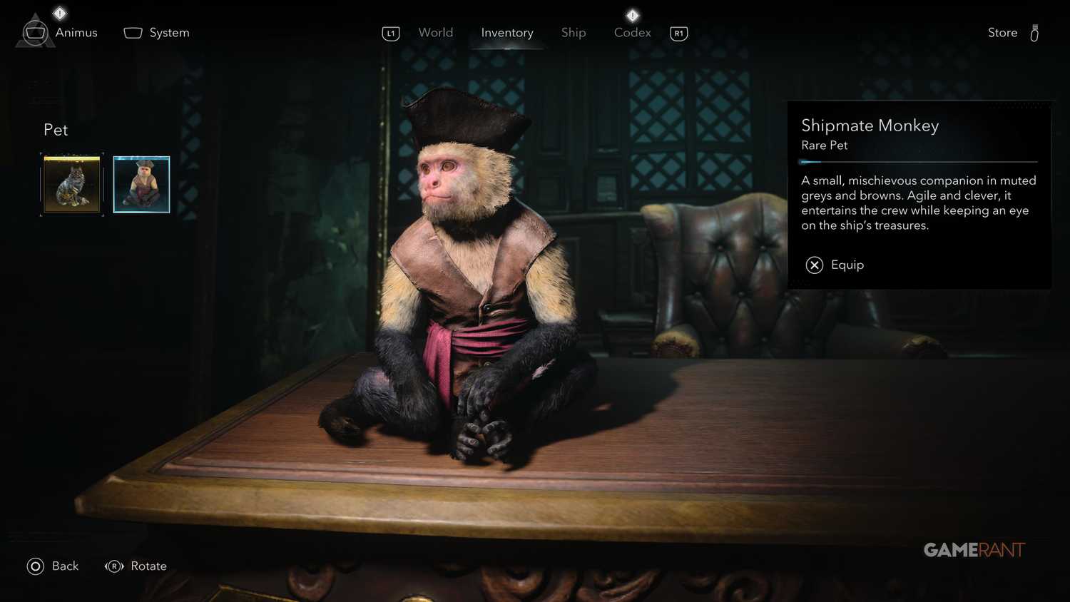 All Friendly Animal Locations in AC Black Flag Resynced 2