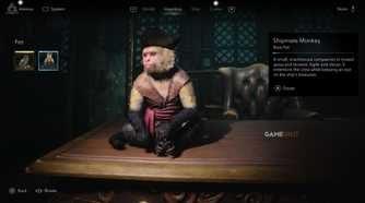 All Friendly Animal Locations in AC Black Flag Resynced 2