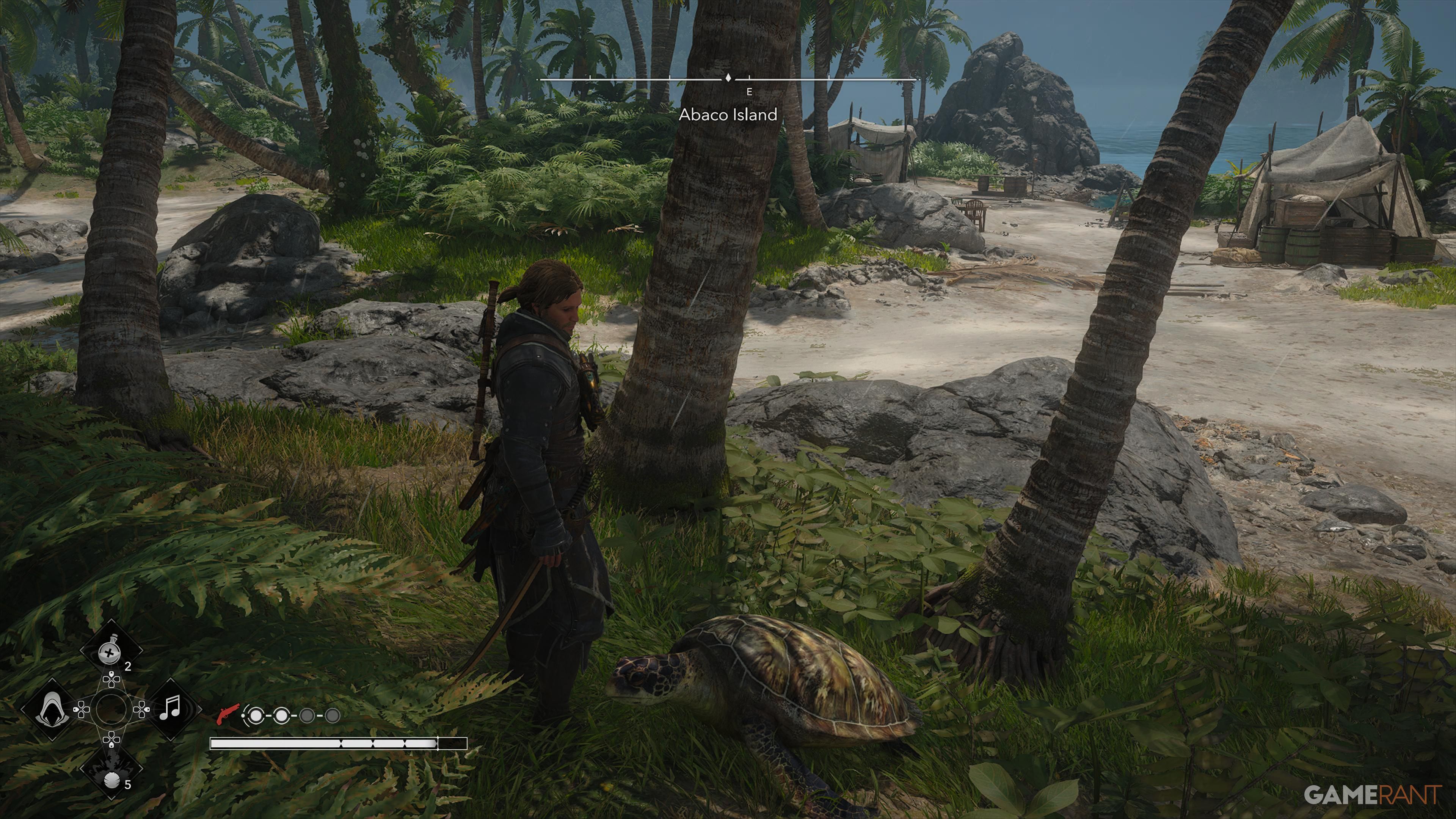 All Friendly Animal Locations in AC Black Flag Resynced 21