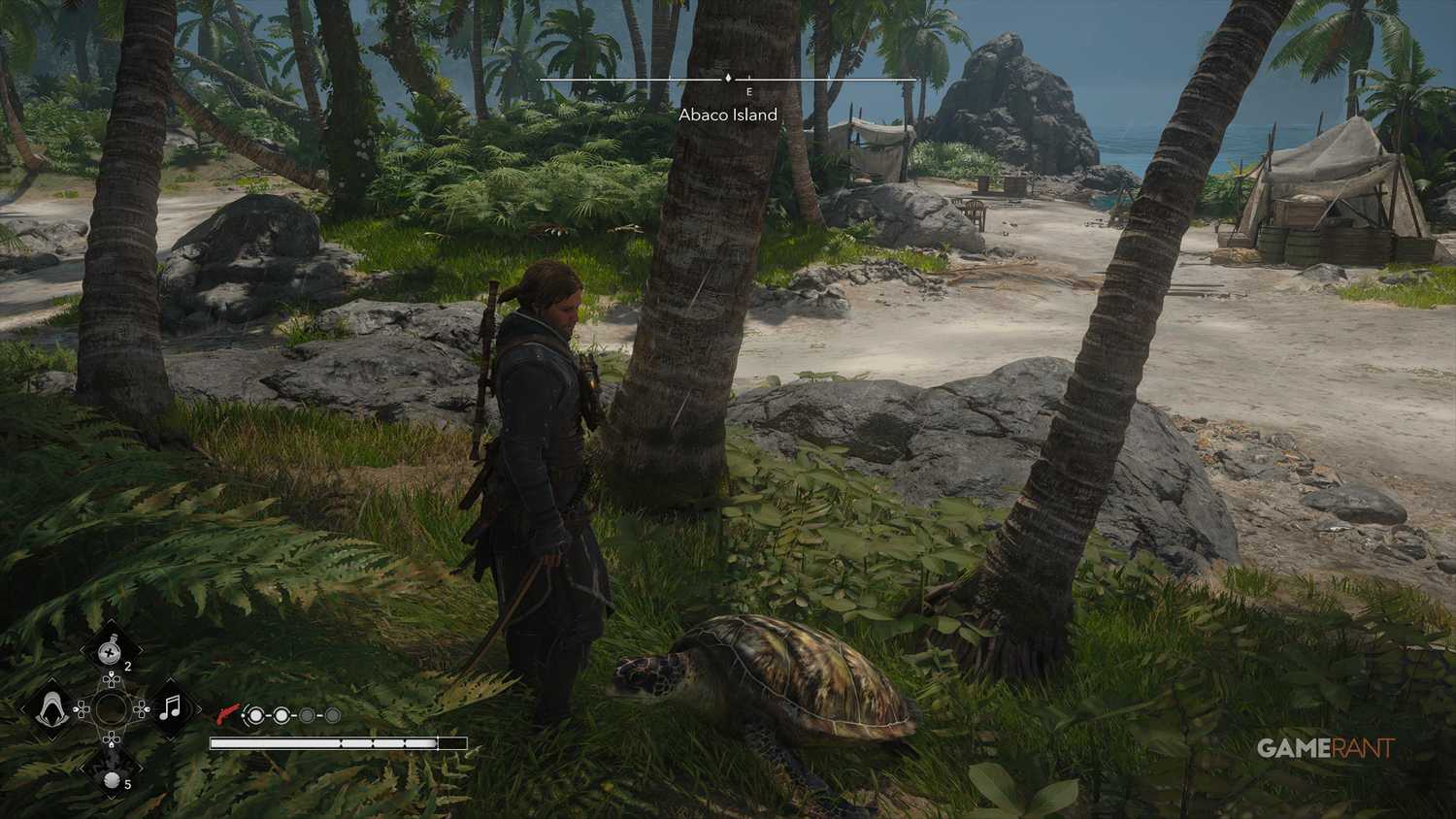 All Friendly Animal Locations in AC Black Flag Resynced 21