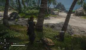 All Friendly Animal Locations in AC Black Flag Resynced 21