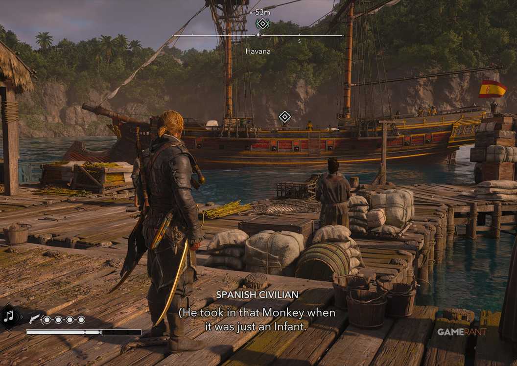 All Friendly Animal Locations in AC Black Flag Resynced 4