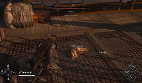 All Friendly Animal Locations in AC Black Flag Resynced 6