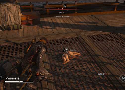 All Friendly Animal Locations in AC Black Flag Resynced 6