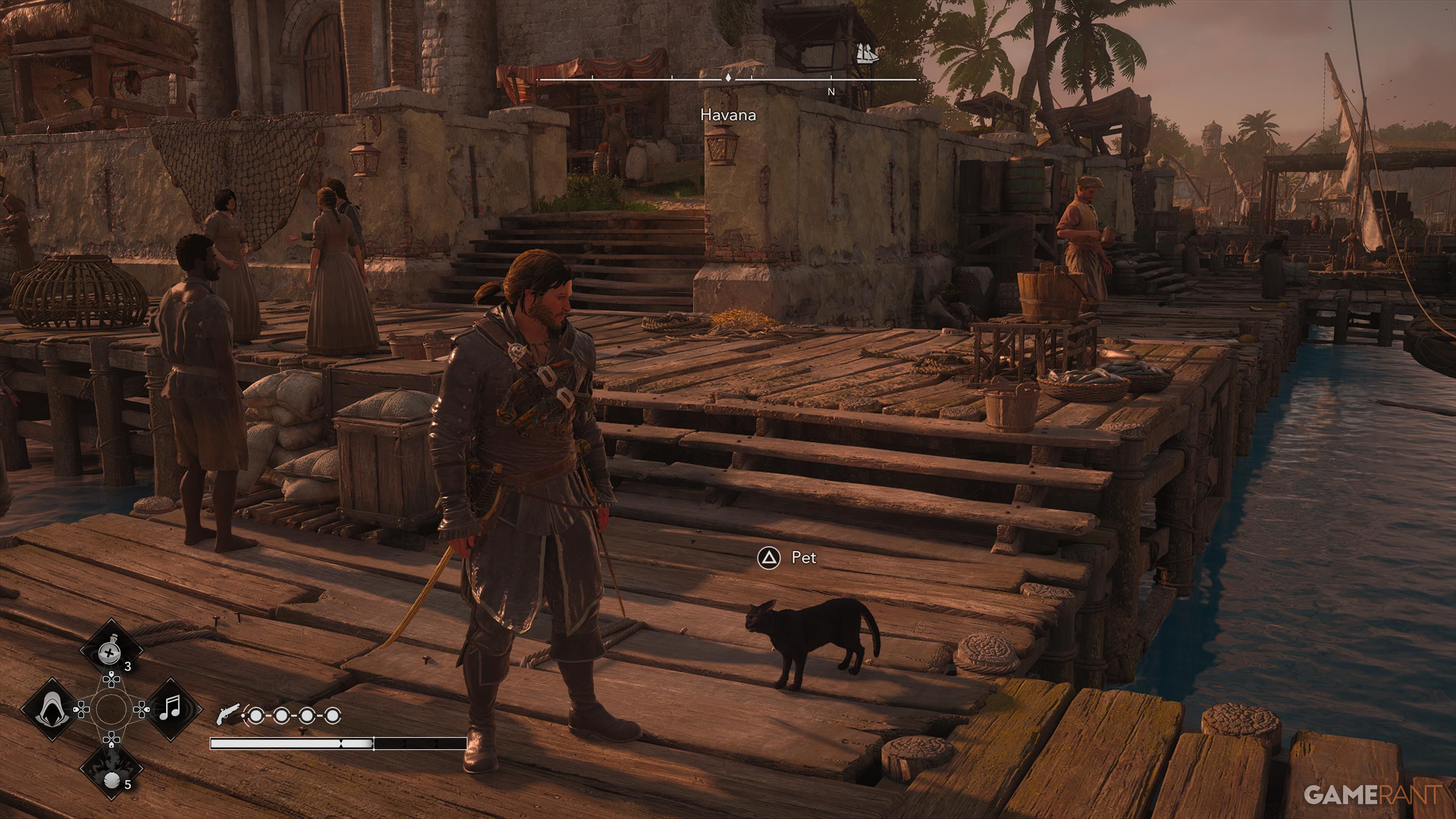 All Friendly Animal Locations in AC Black Flag Resynced 7
