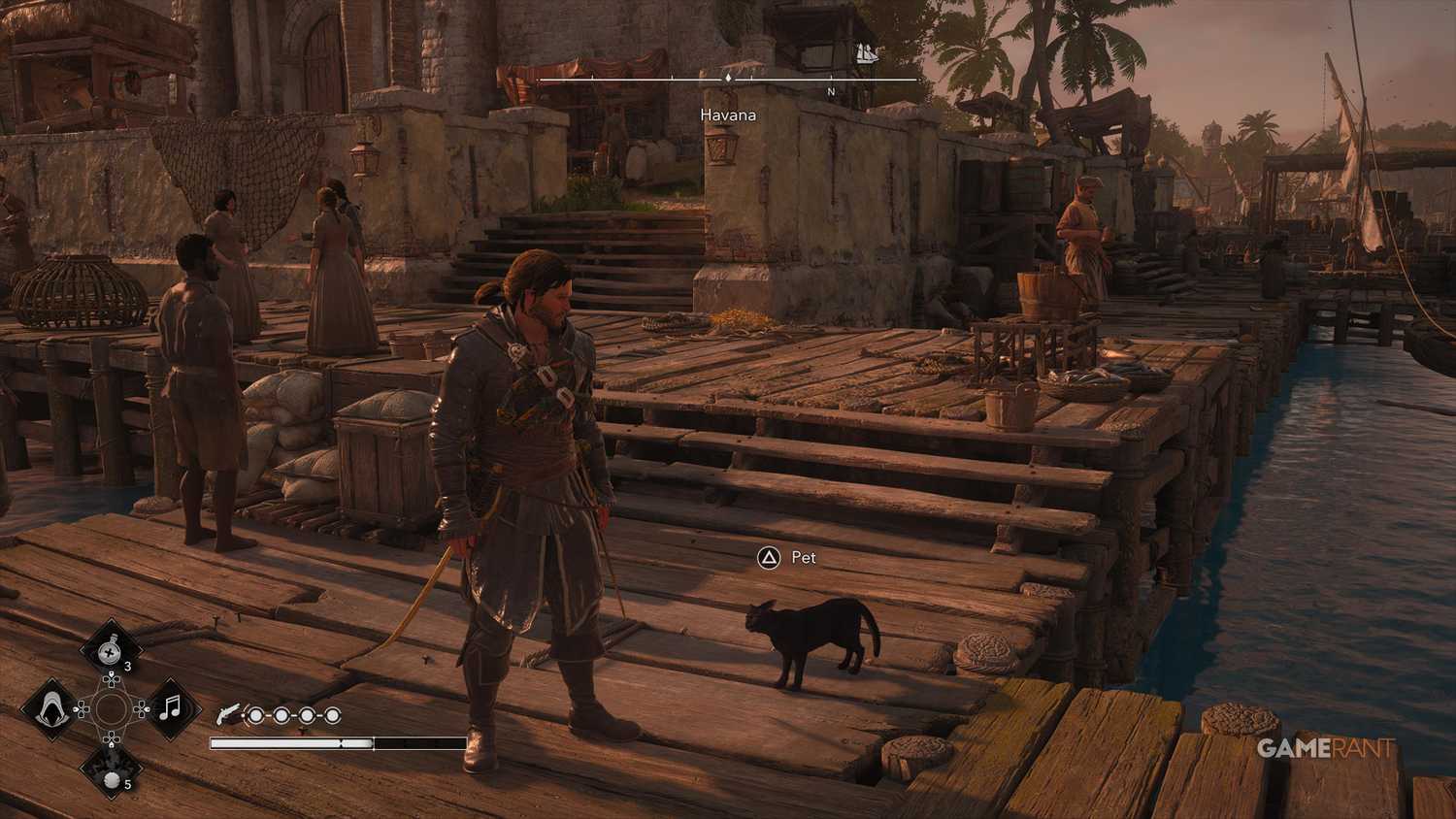 All Friendly Animal Locations in AC Black Flag Resynced 7