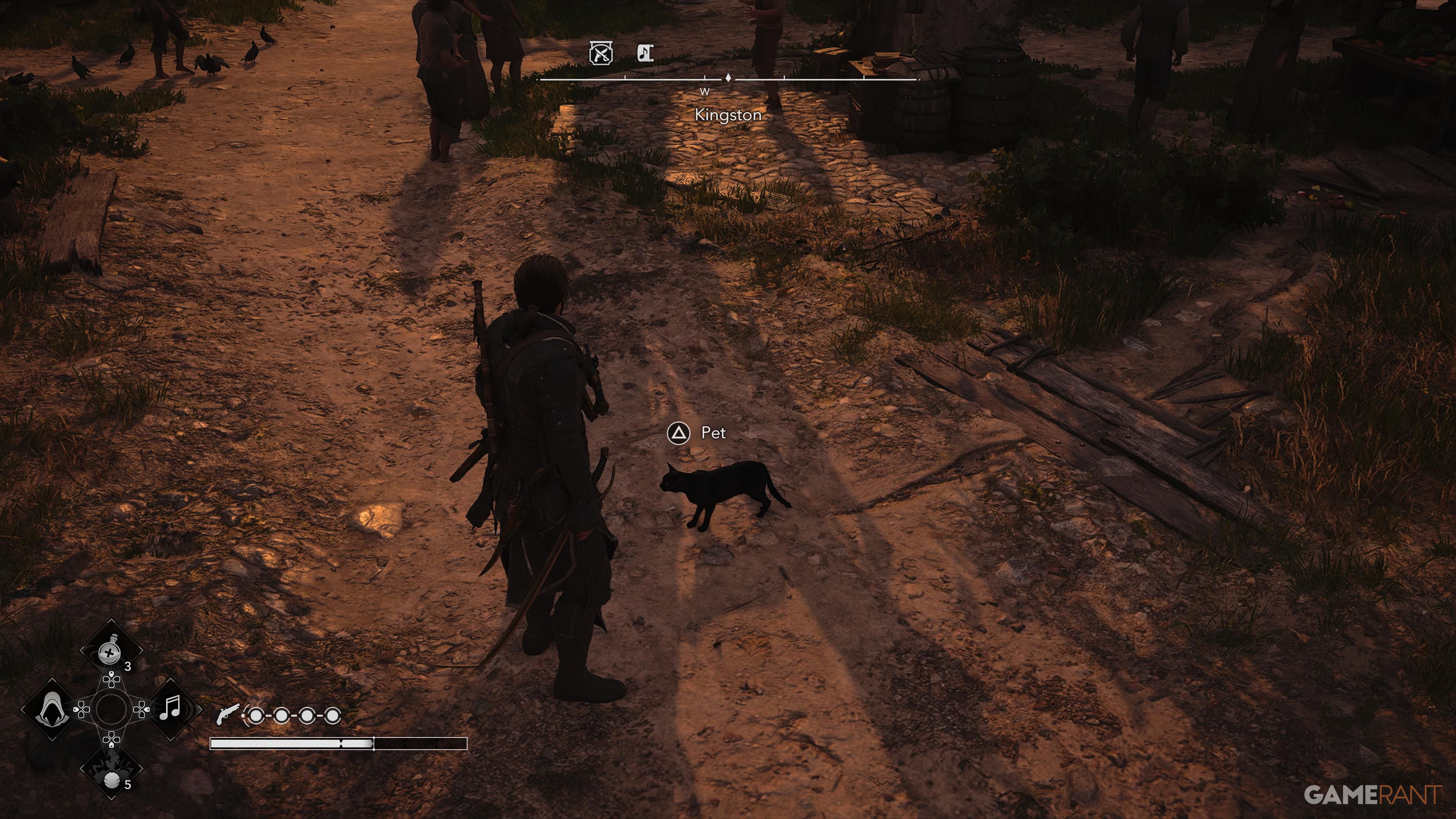All Friendly Animal Locations in AC Black Flag Resynced 9