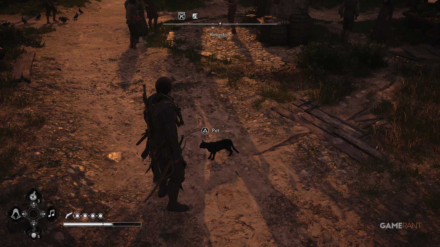 All Friendly Animal Locations in AC Black Flag Resynced 9