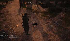 All Friendly Animal Locations in AC Black Flag Resynced 9