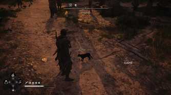 All Friendly Animal Locations in AC Black Flag Resynced 9