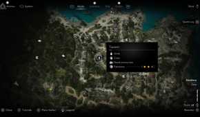 How to Wake Up in a Haystack in AC Black Flag Resynced 2
