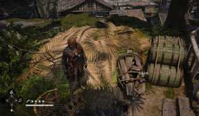 How to Wake Up in a Haystack in AC Black Flag Resynced 4