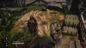 How to Wake Up in a Haystack in AC Black Flag Resynced 4