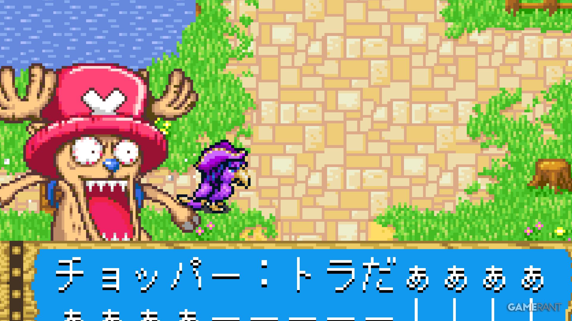 one piece Chopper's Big Adventure chopper and animal red hook