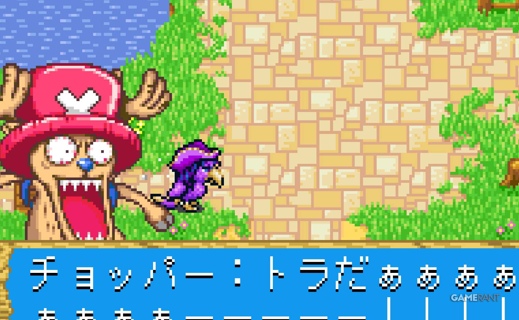 one piece Chopper's Big Adventure chopper and animal red hook