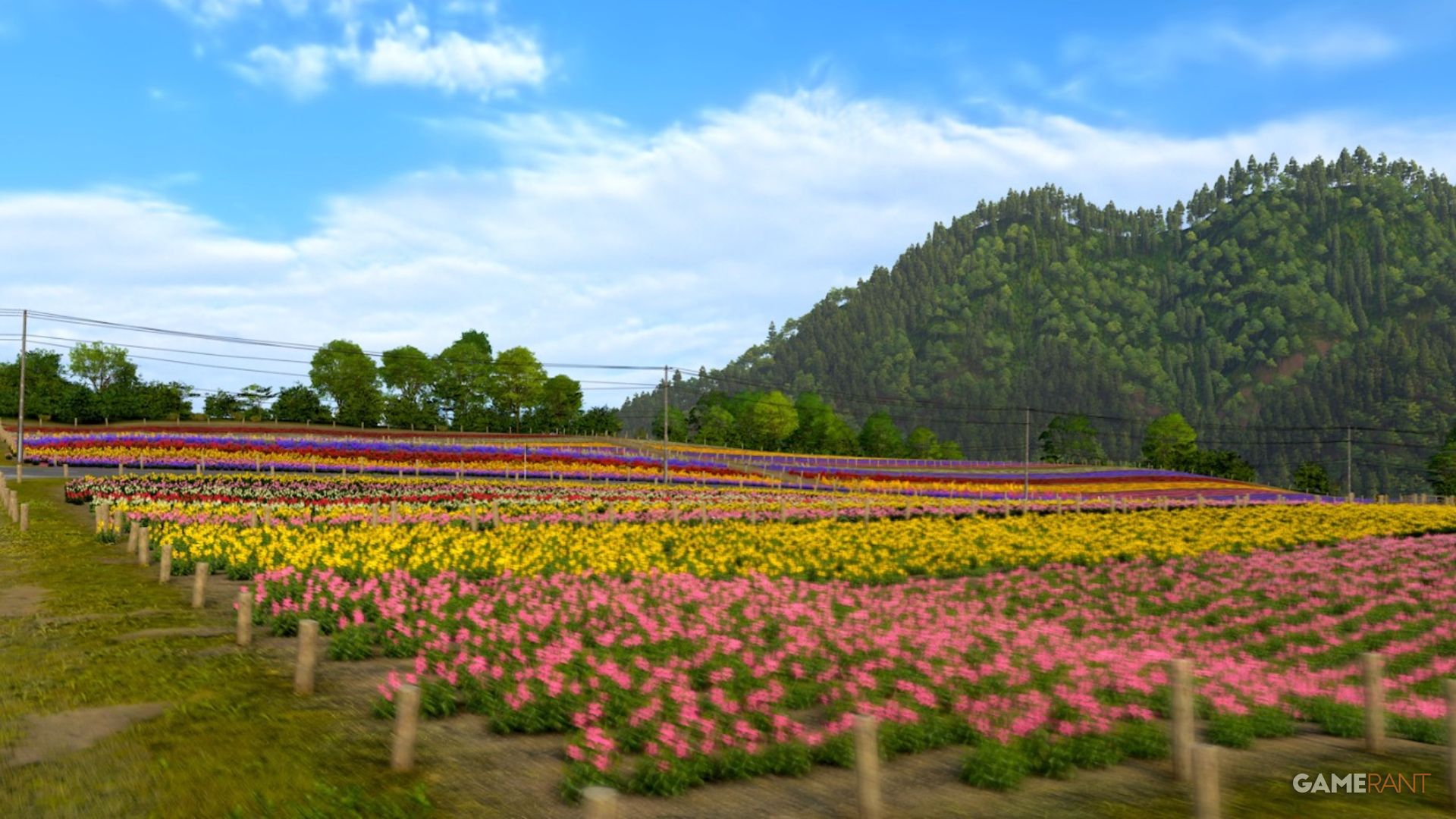 FH6: Where Is Shikisai-no-Oka? (PetalPower Photo Challenge)