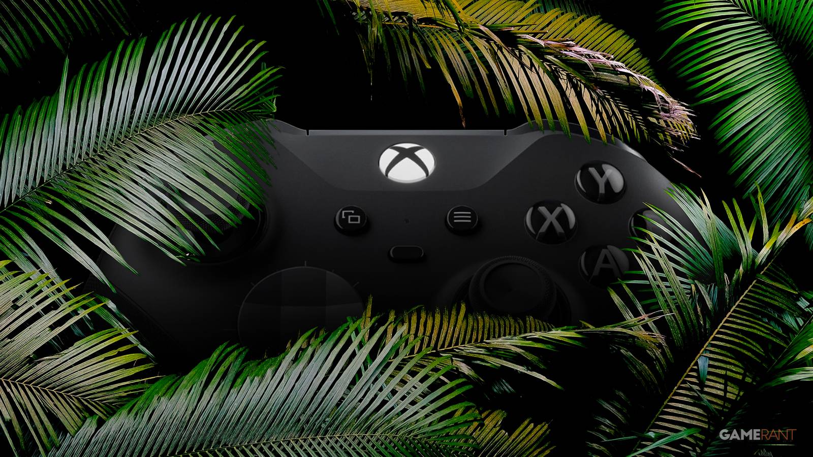 Brand-New Leaked Xbox Controller Spotted in the Wild Brand-New Leaked Xbox Controller Spotted in the Wild