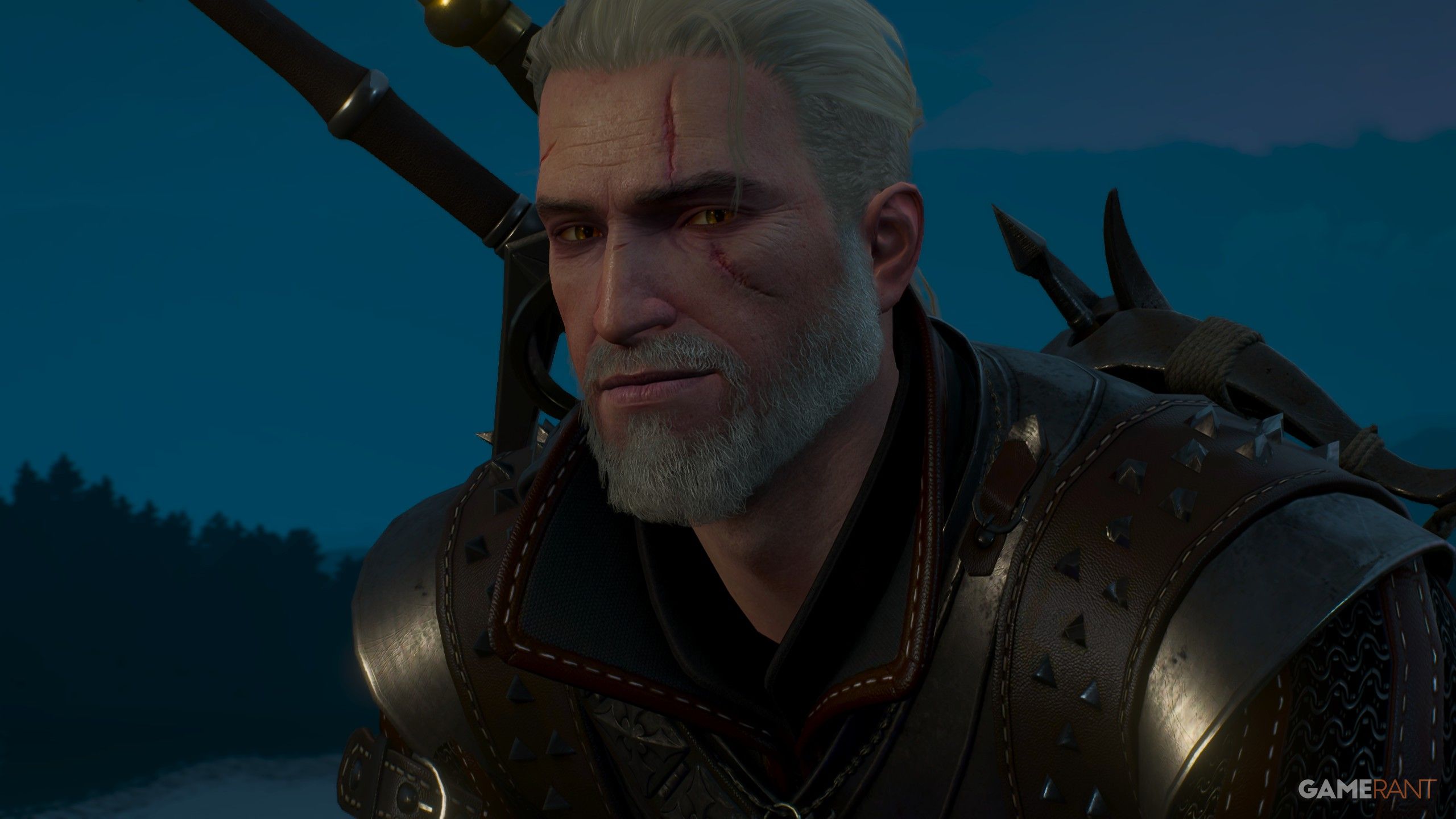 All Endings in The Witcher 3 (& DLCs)