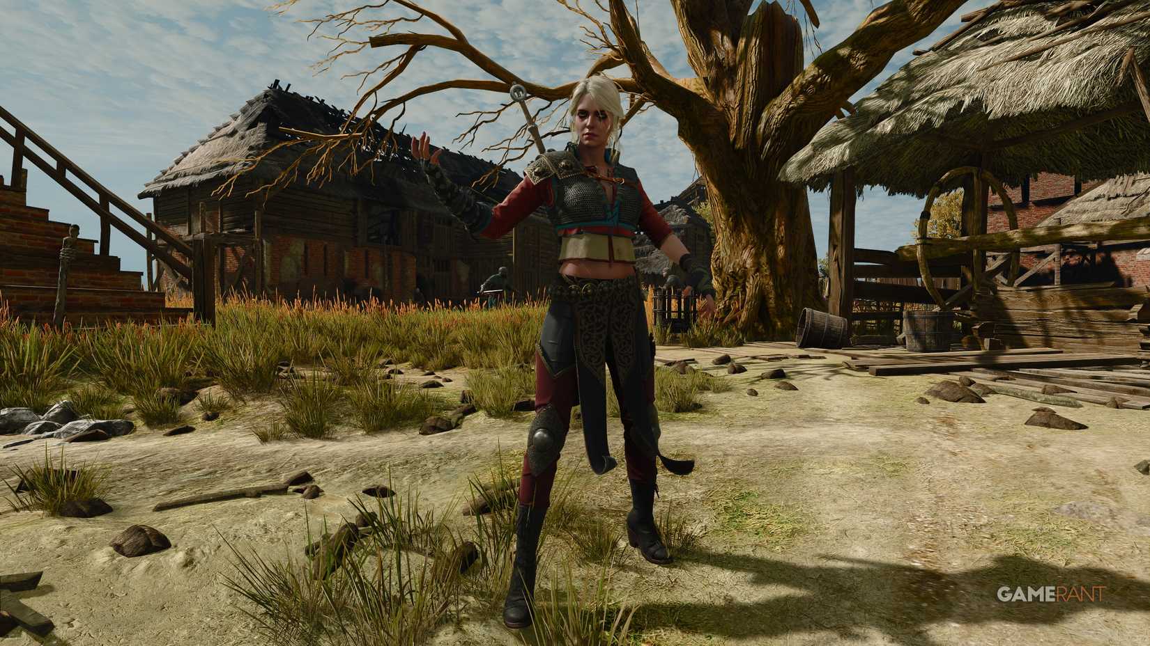 Alternate Appearances ciri