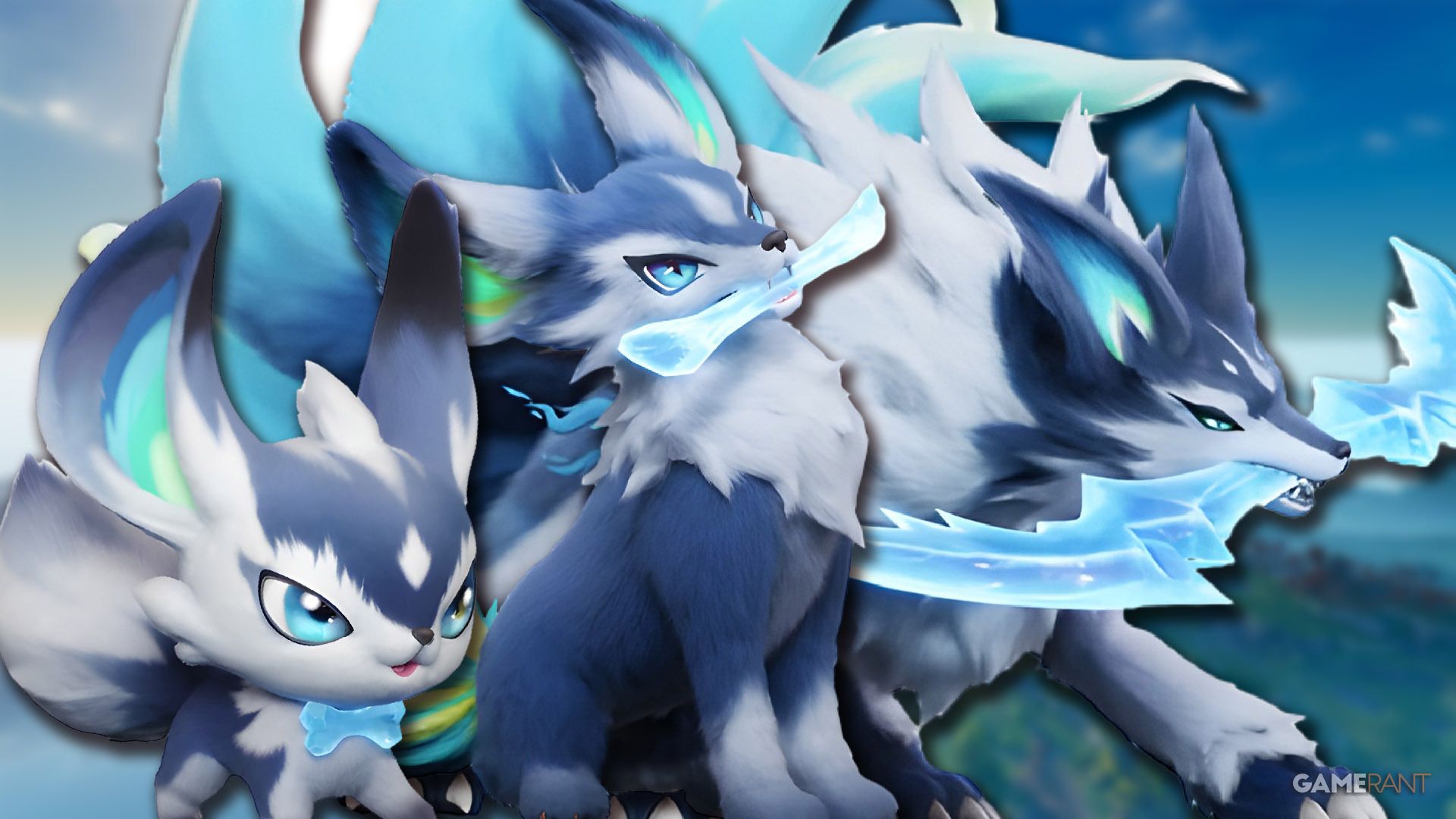How to Evolve in Aniimo