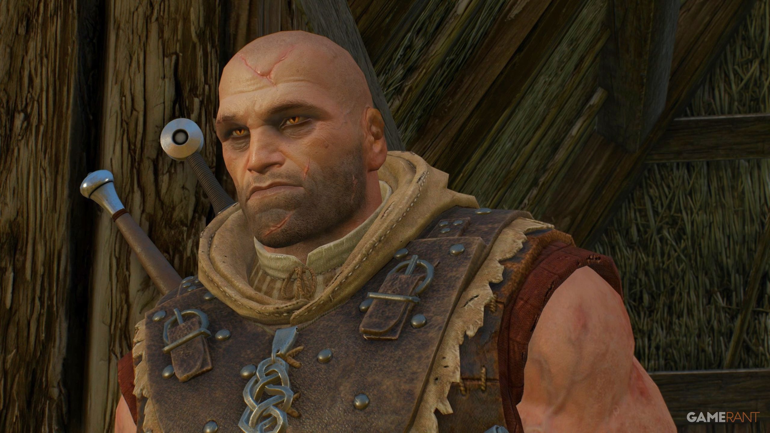 Ghosts of the Past Choices and Outcomes in The Witcher 3