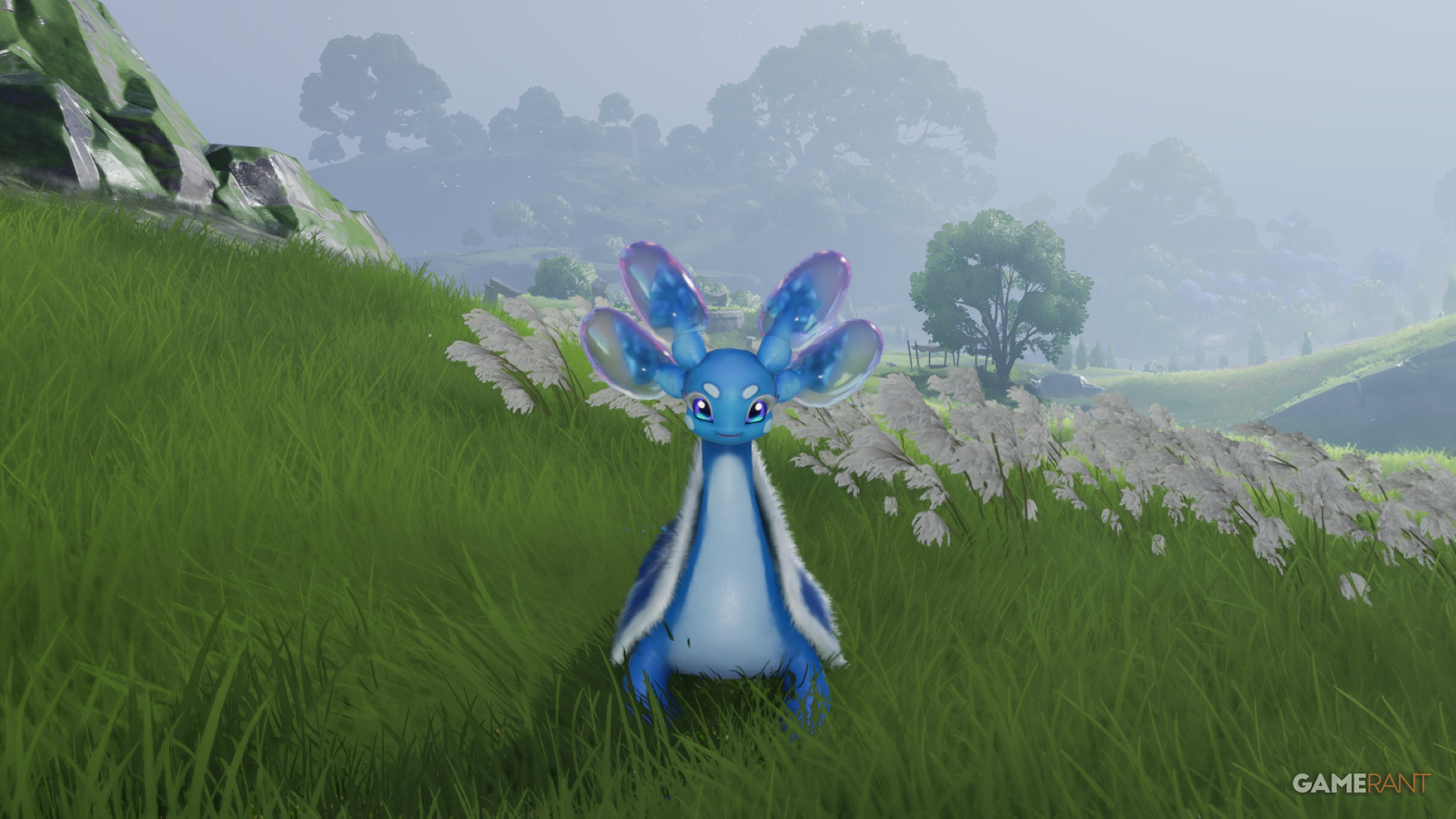 All Glacy Forms in Aniimo