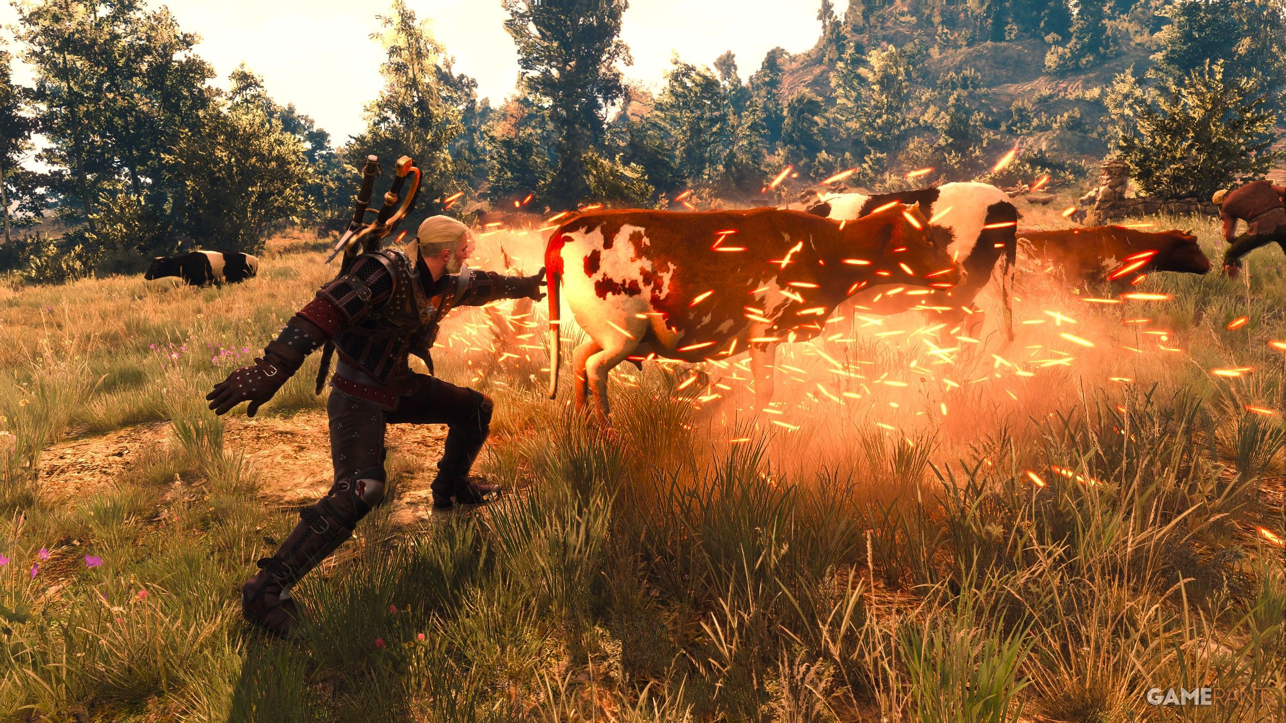 The Witcher 3: How to Make Money Fast