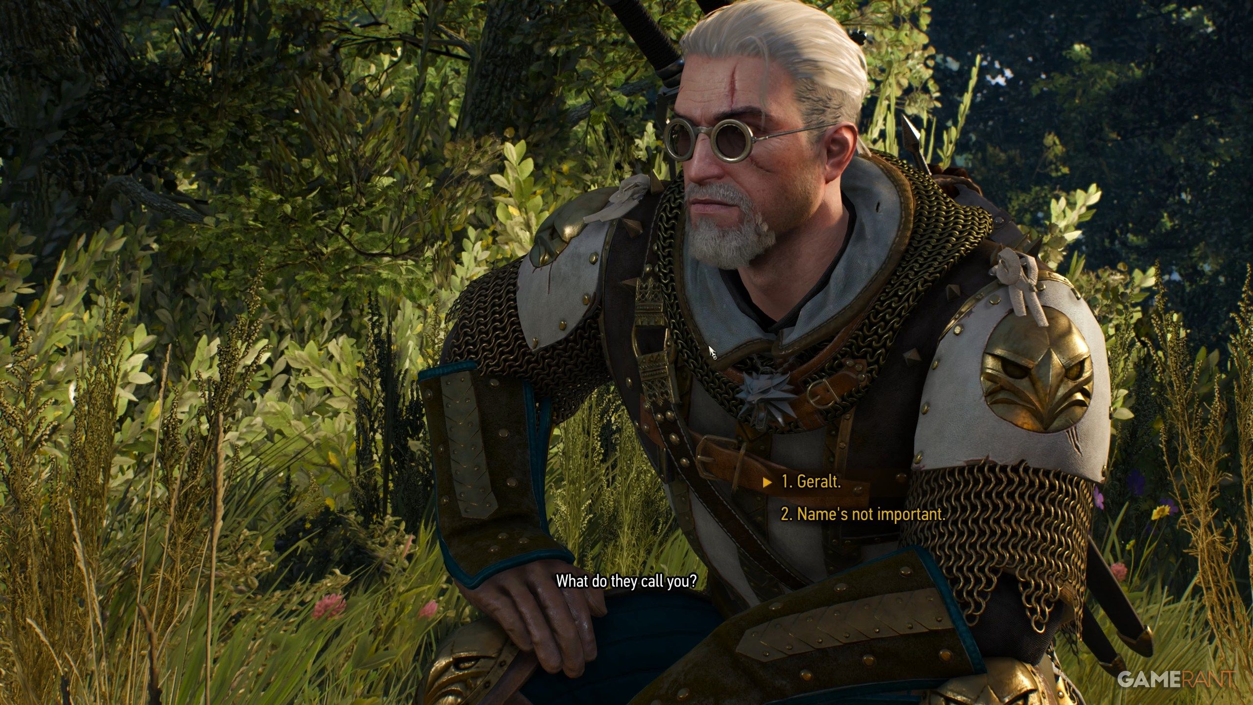 Strangers in the Night Walkthrough in The Witcher 3 (3)