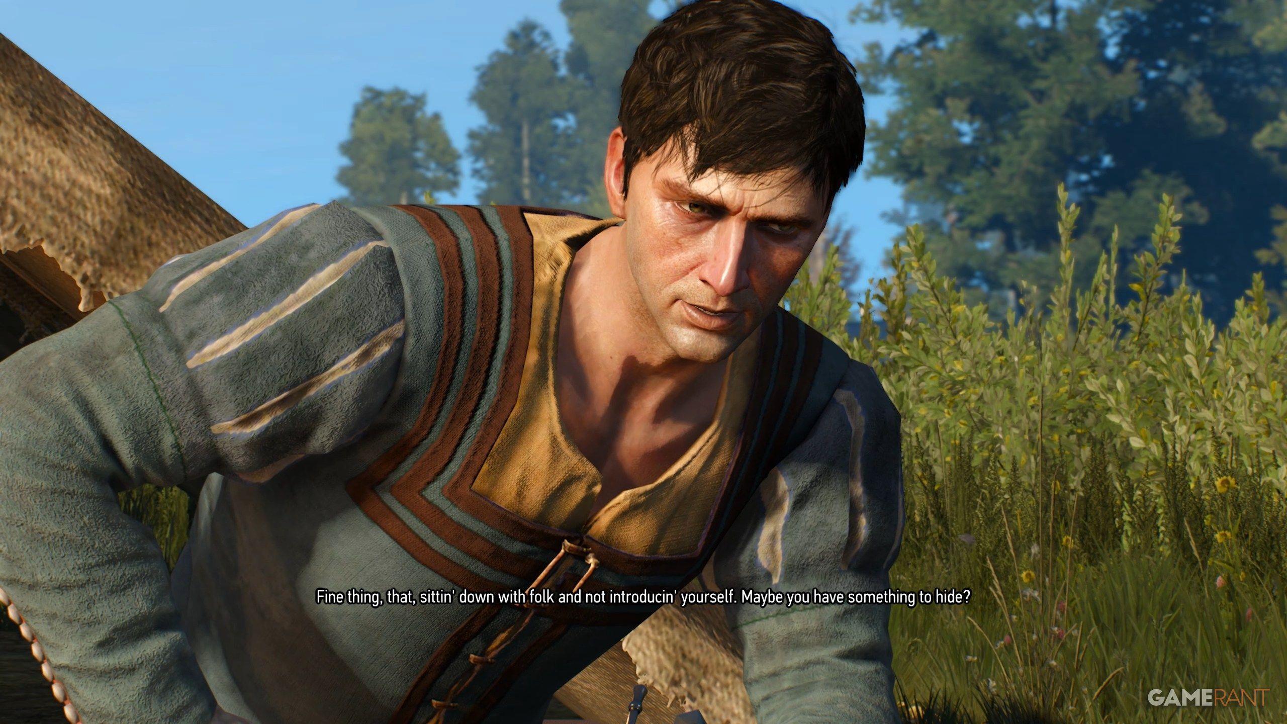 Strangers in the Night Walkthrough in The Witcher 3 (4)
