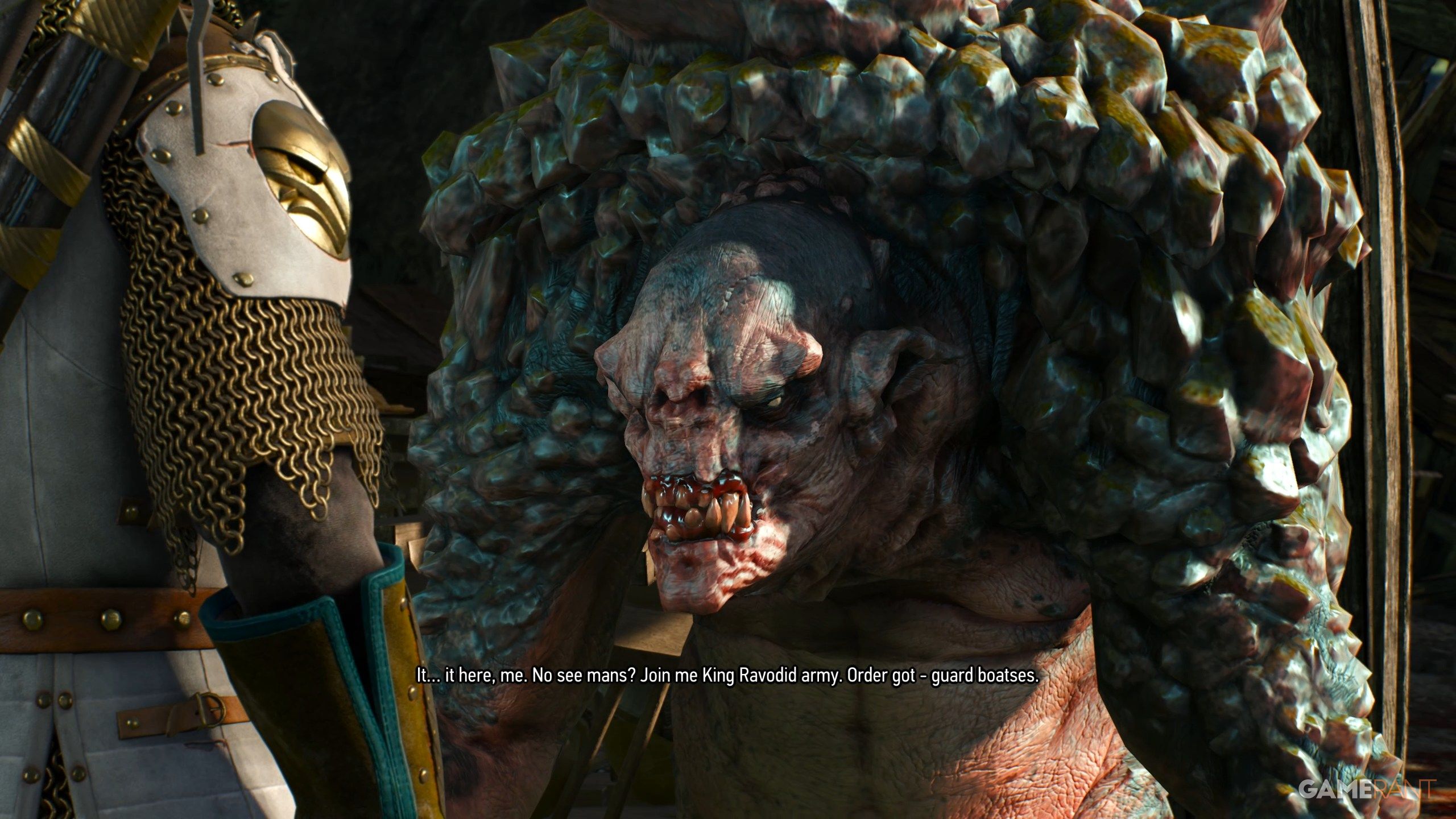 The Volunteer Walkthrough in The Witcher 3 (3)