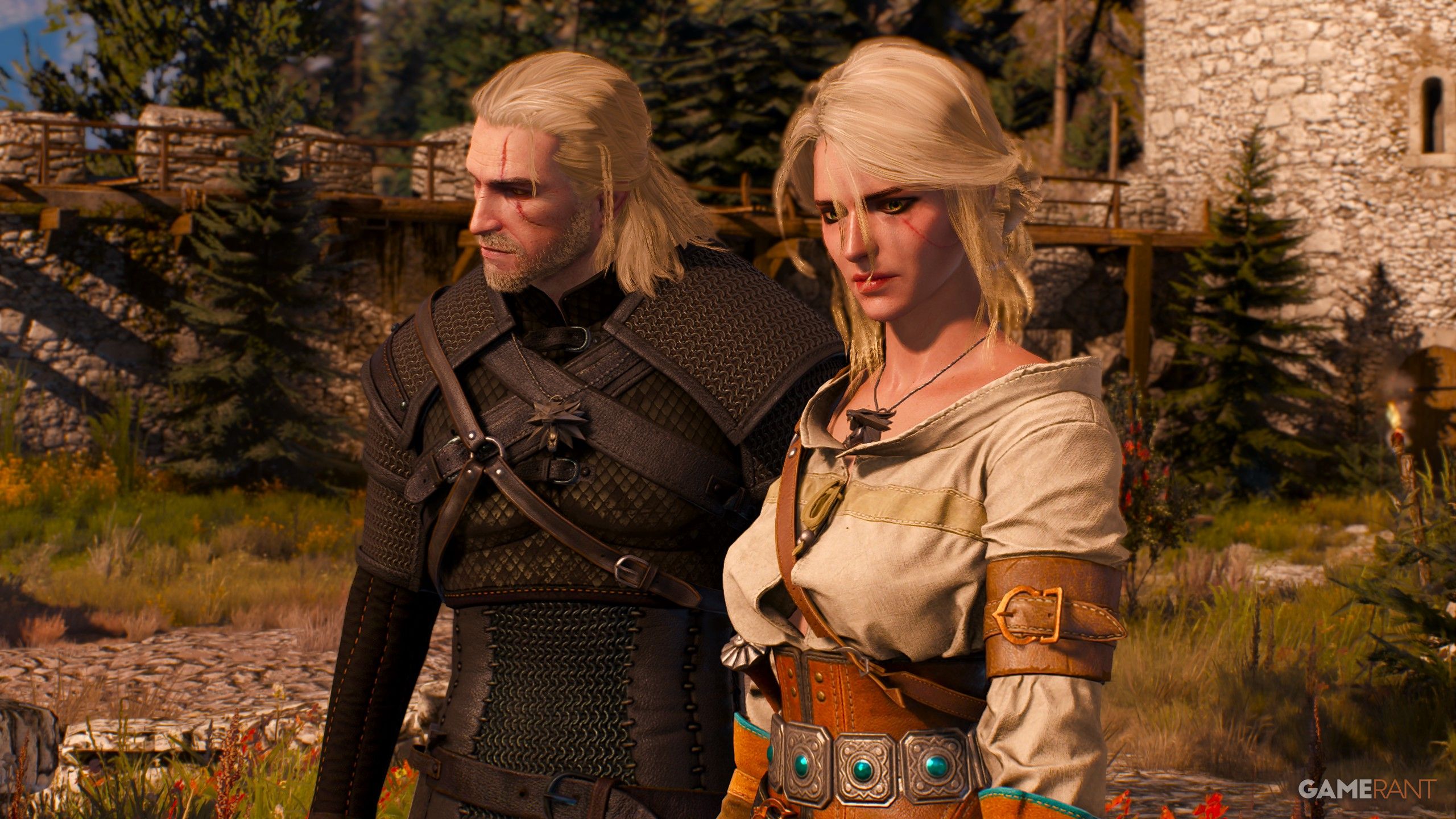 Best Choices in Blood on the Battlefield - The Witcher 3
