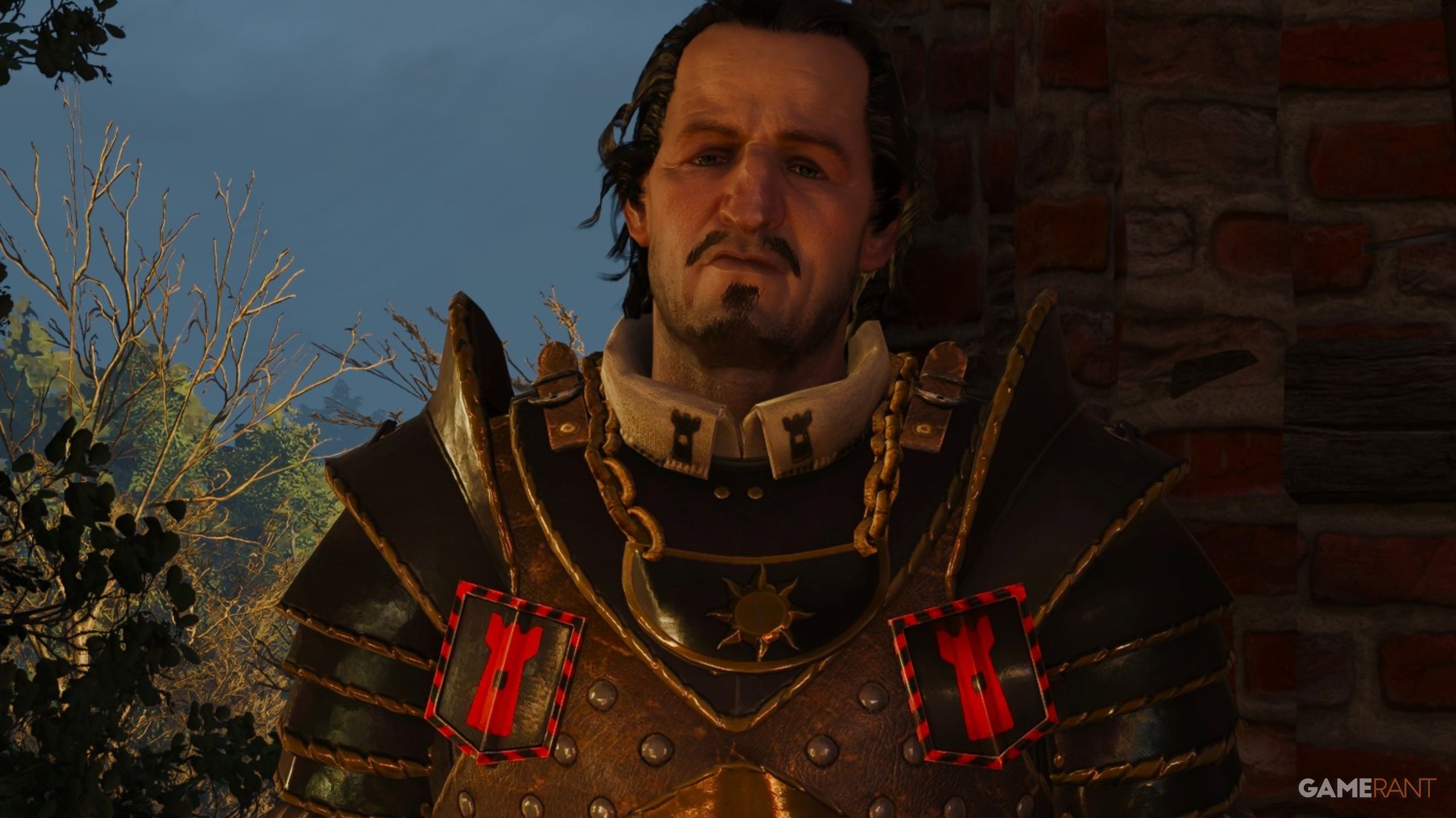 Should You Take or Turn Down the Coin? - The Witcher 3