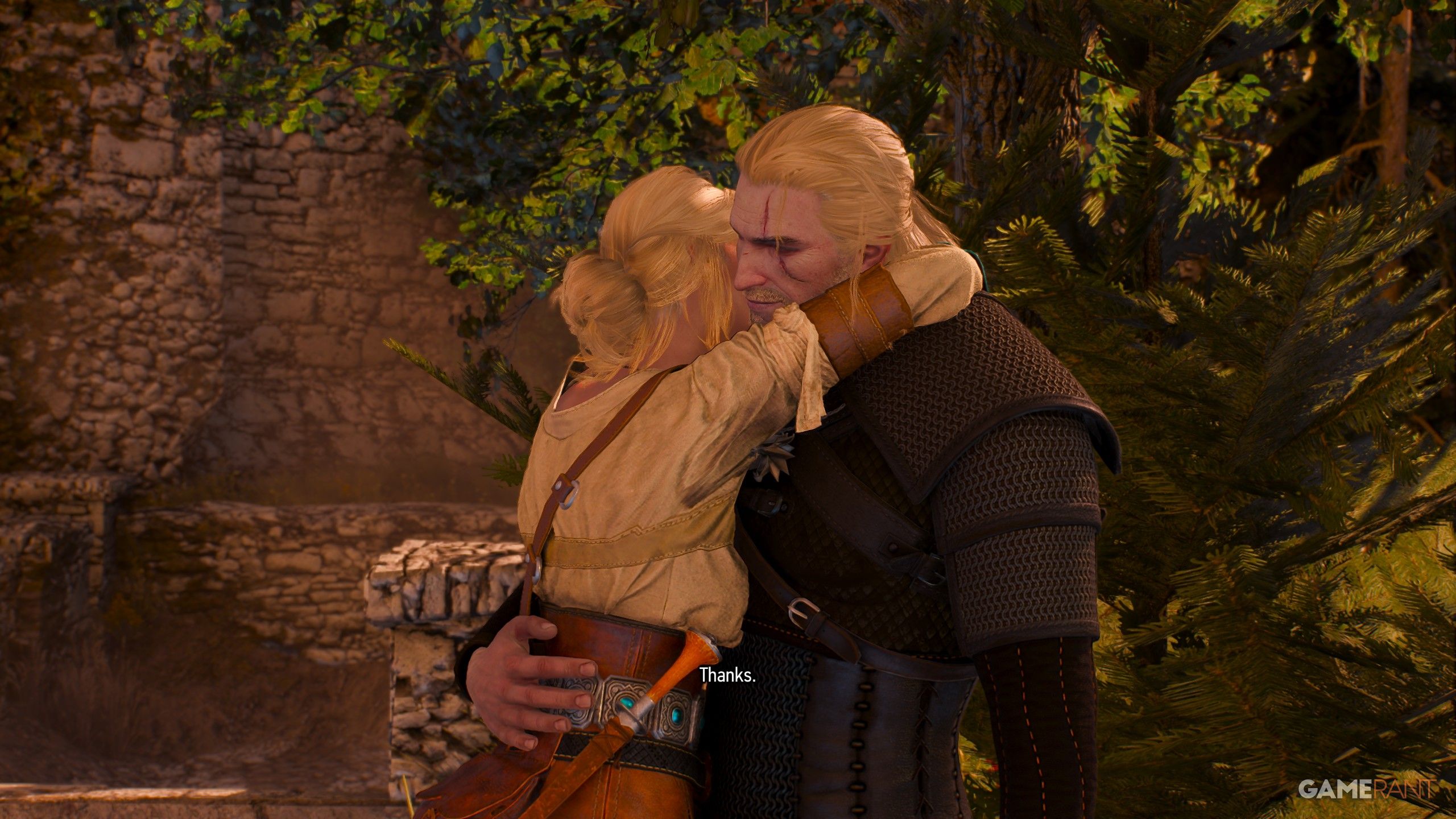 What Should You Say to Ciri in Blood on the Battlefield (3)
