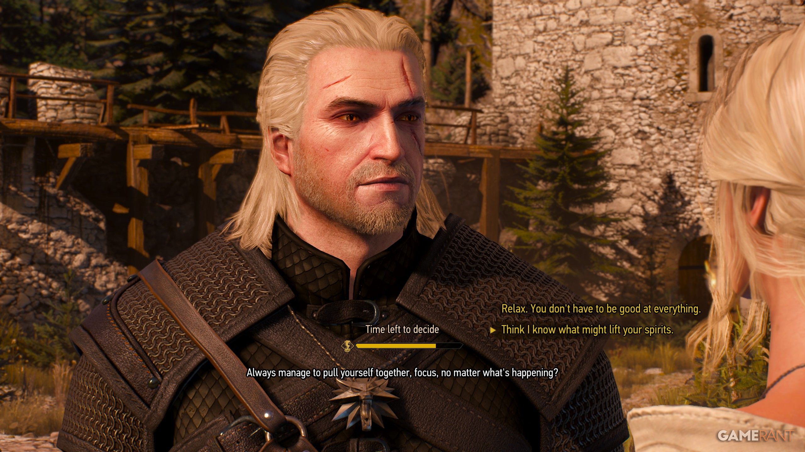 What Should You Say to Ciri in Blood on the Battlefield