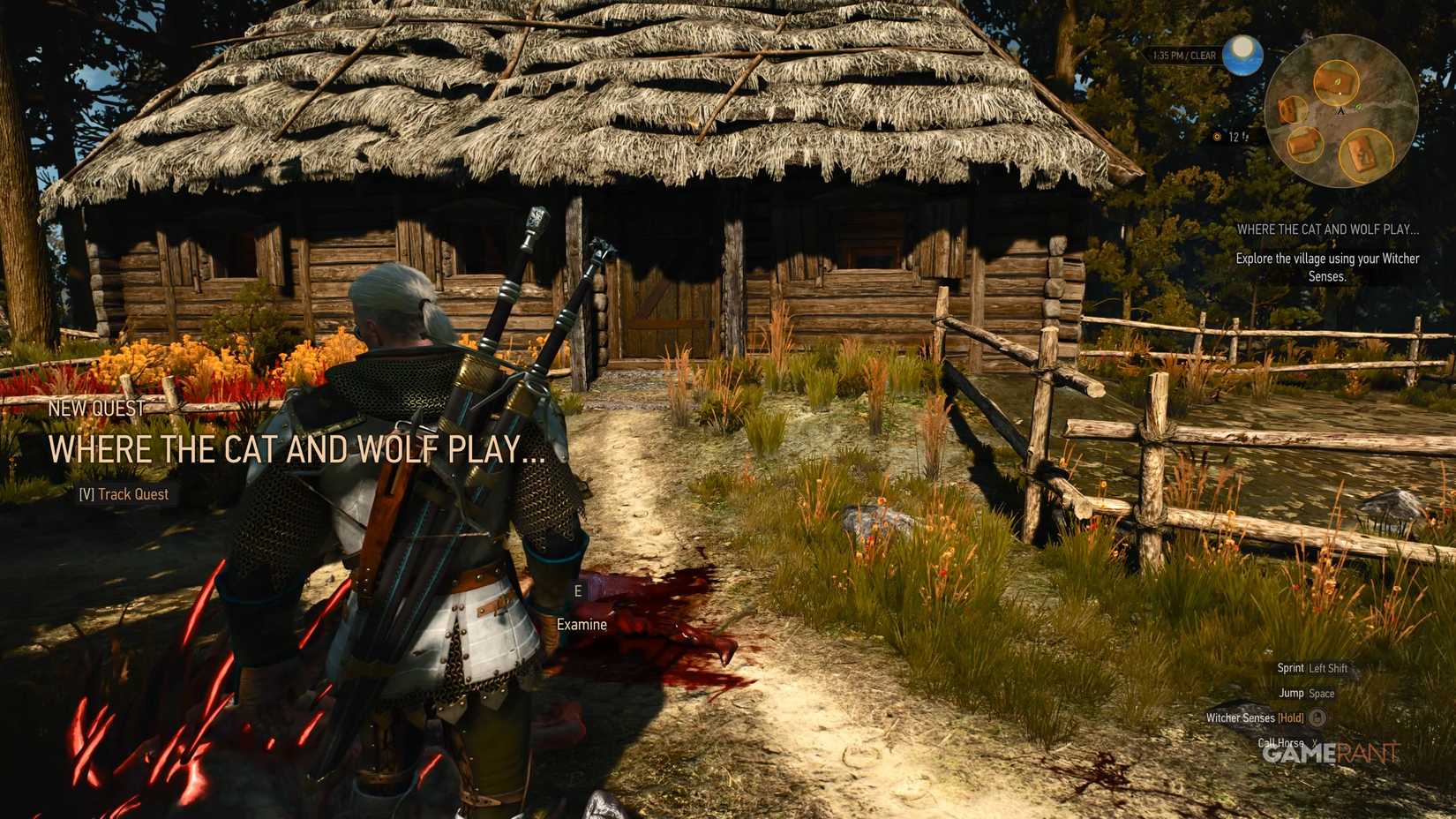 Where the Cat and Wolf Play Walkthrough in The Witcher 3 (1)