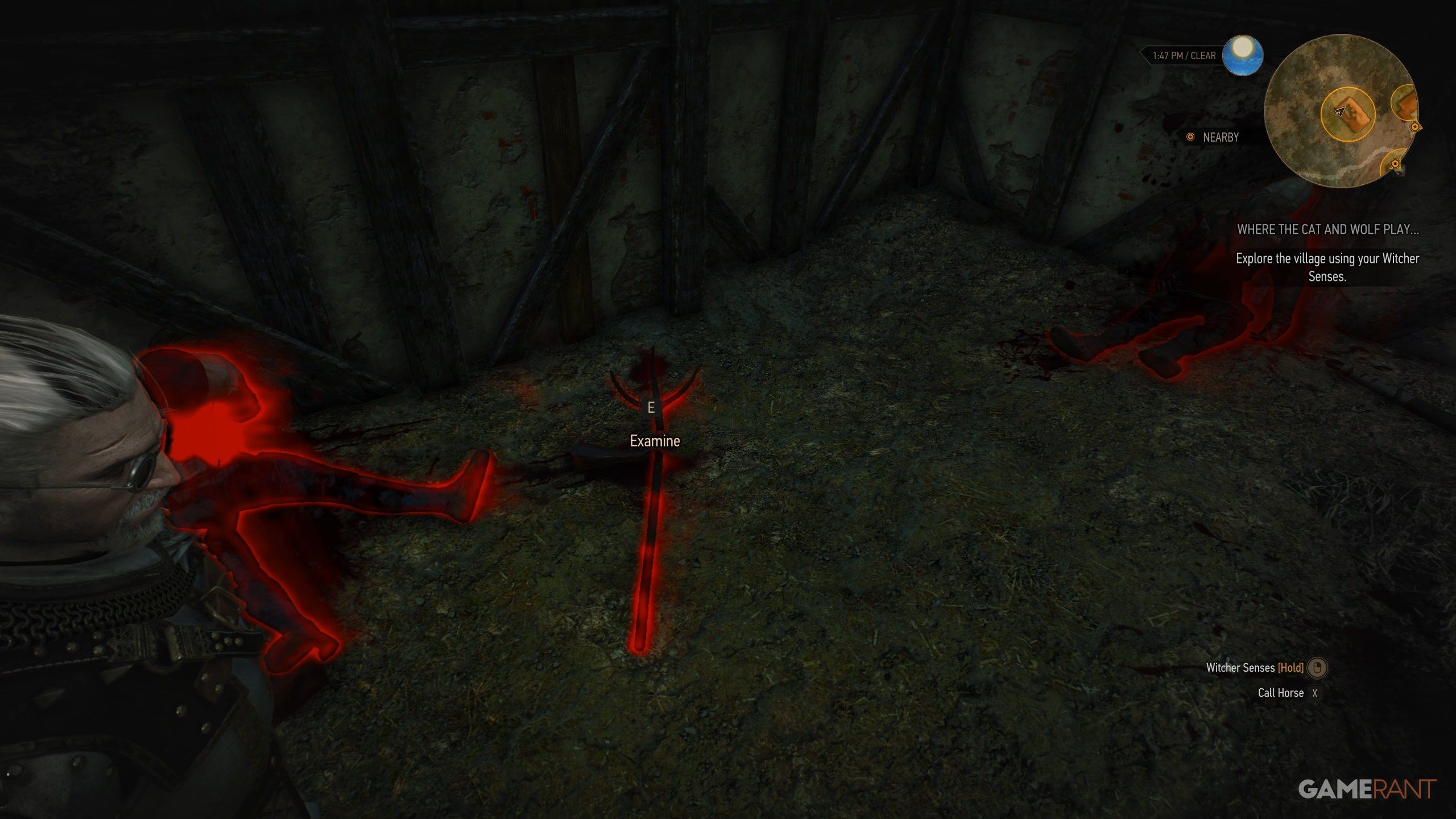 Where the Cat and Wolf Play Walkthrough in The Witcher 3 (3)