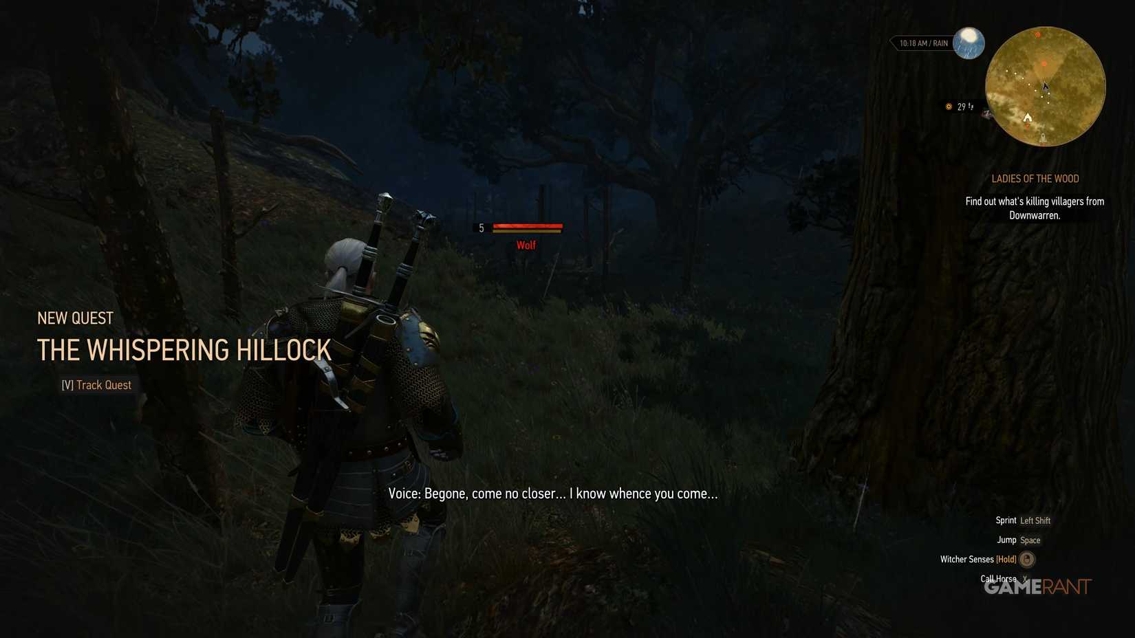 Whispering Hillock Walkthrough in The Witcher 3 (2)