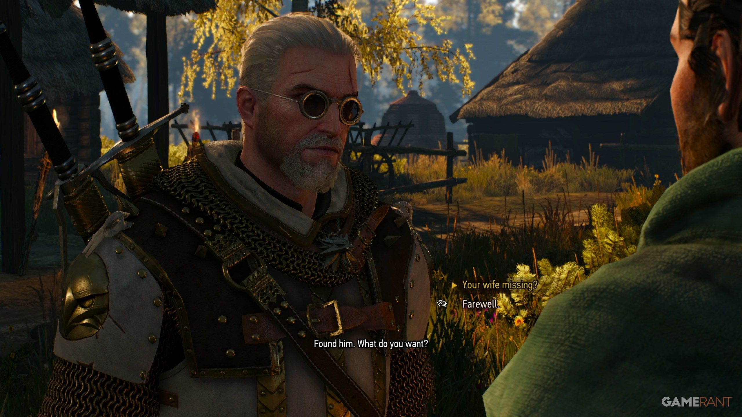 Wild At Heart Walkthrough and Choices in Witcher 3 (3)