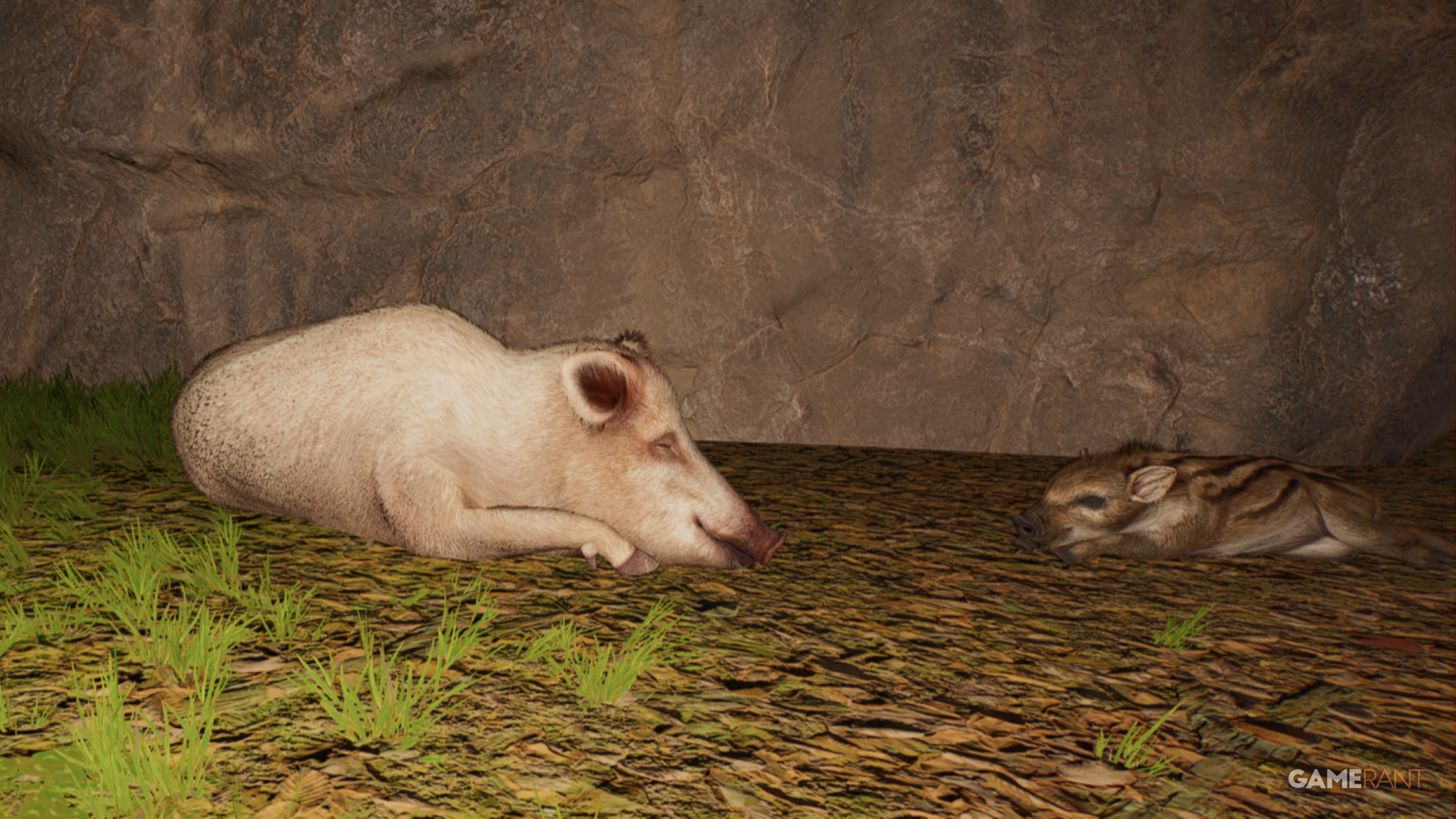 How to Get All Colormorph Animals in Planet Zoo 2