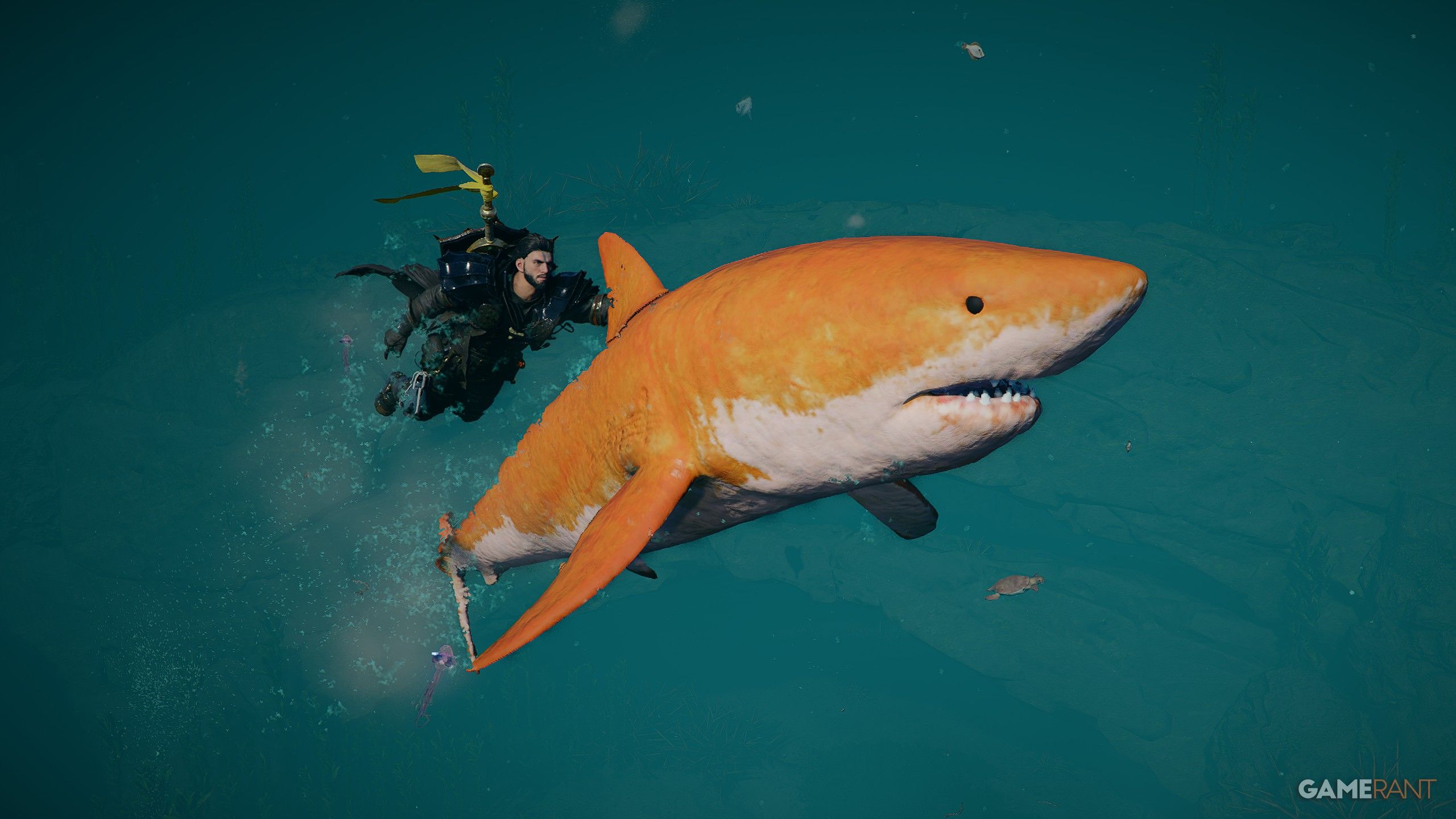 Crimson Desert: Golden Shark Mount Location [Full Guide]