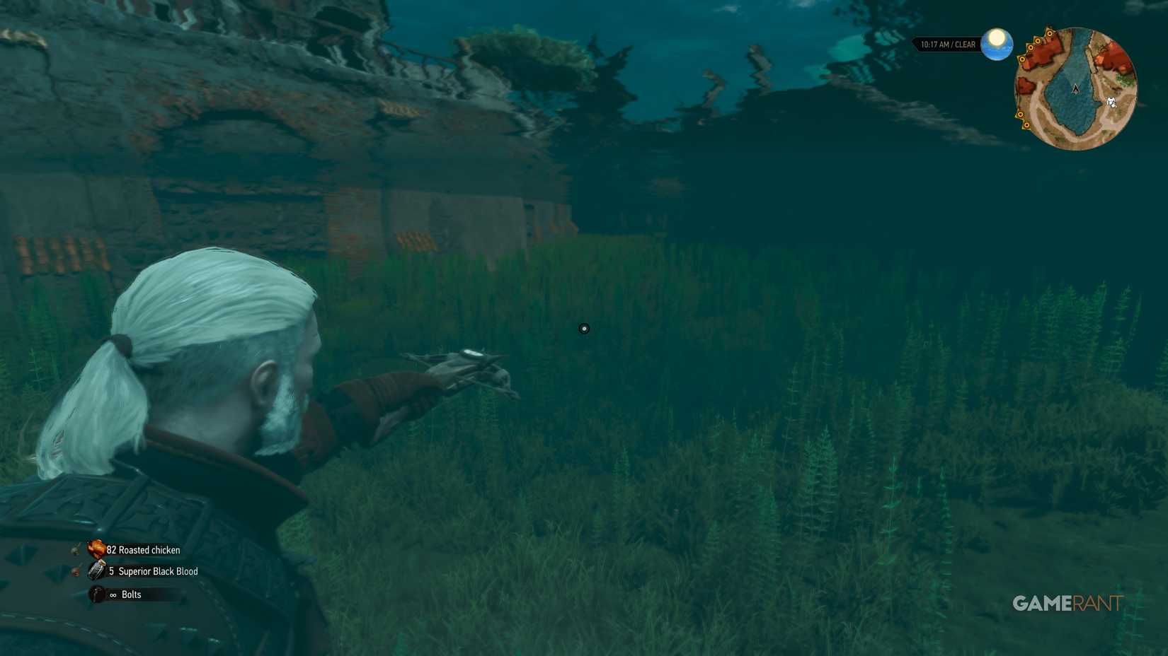 How to Use the Crossbow Underwater in The Witcher 3