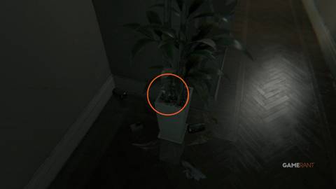 Picture Fragment 1
