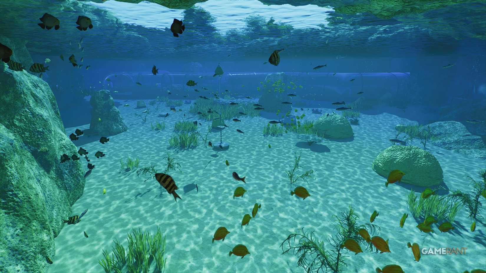 Planet Zoo 2 - Aquarium Fish