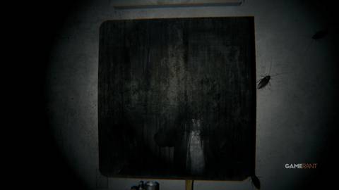 Second Cycle (4)
