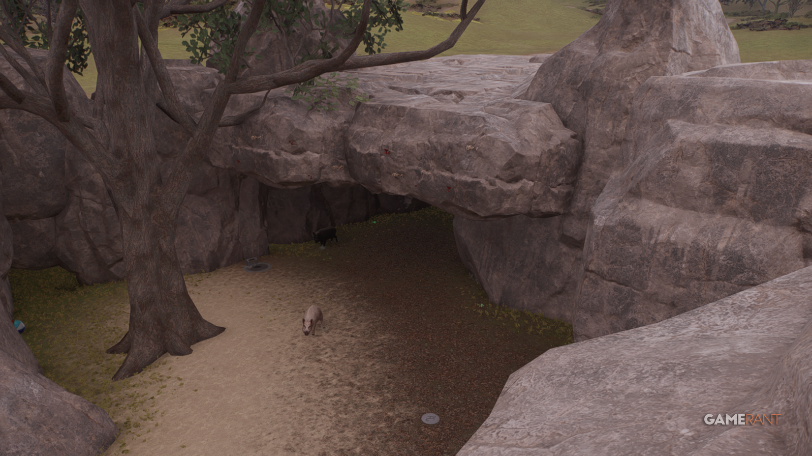 wild boars under a custom made shelter planet zoo 2