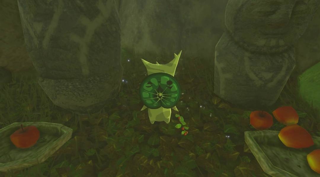 zelda breath of the wild korok seeds different