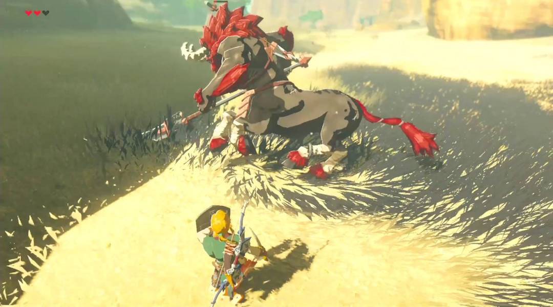 zelda bookshelf lynel