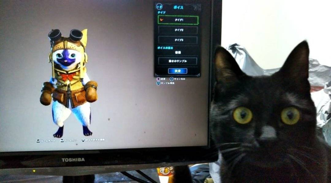 monster_hunter_world_cat_reaction_is_hilarious