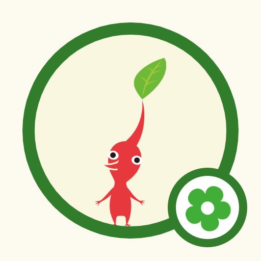 User Display Picture