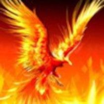 User Display Picture